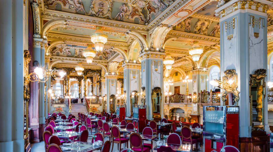 فــرع حـــي الـعـقـيــق